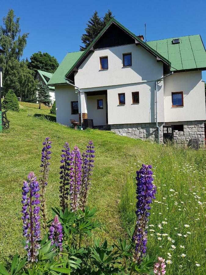 Apartmán U Kobrů