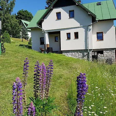 U Kobru Apartment Spindleruv Mlyn Exterior photo