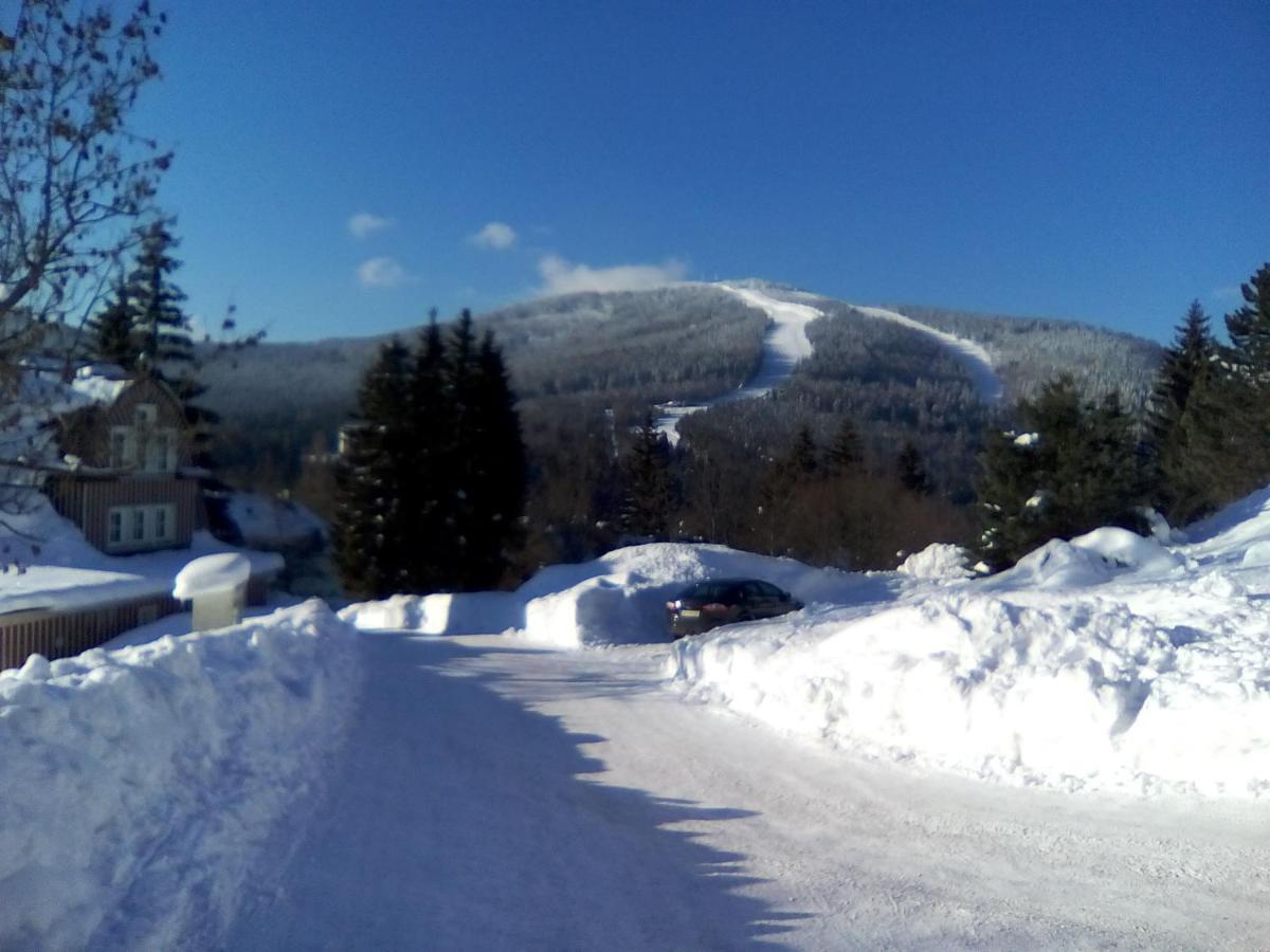 Apartmán U Kobru